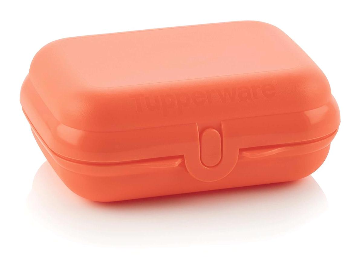 Tupperware 1 Parça Dikdörtgen Plastik Saklama Kabı