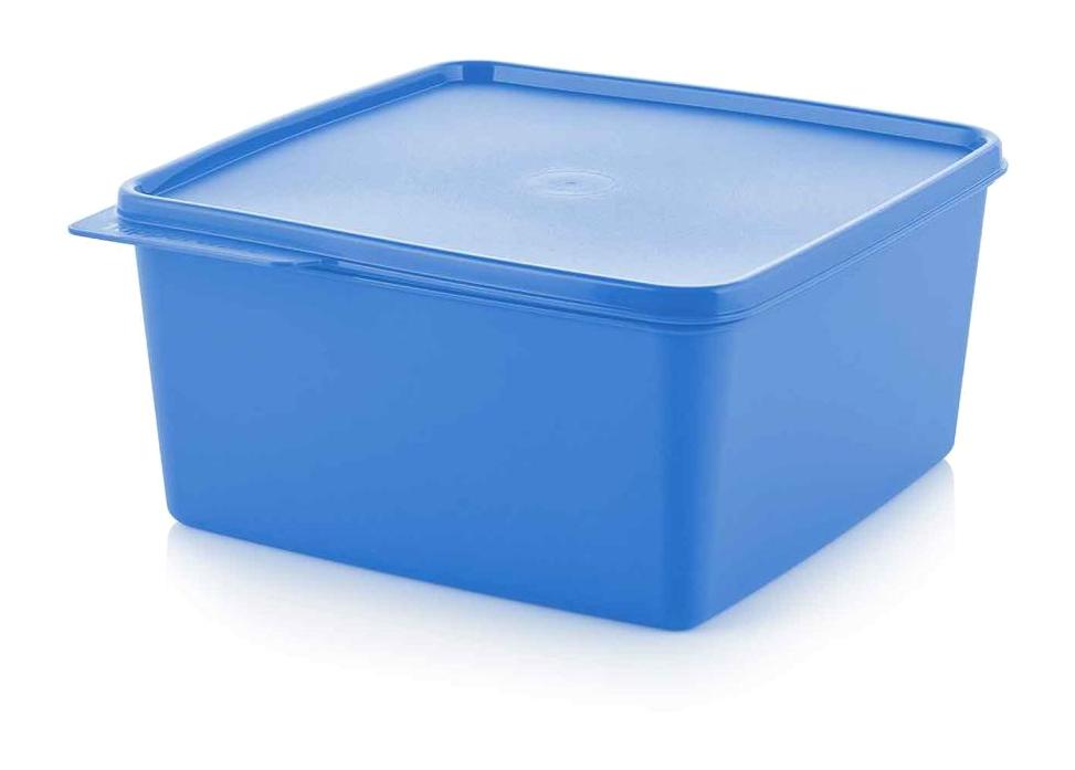 Tupperware 1 Parça Dikdörtgen Plastik Saklama Kabı 2.5 lt