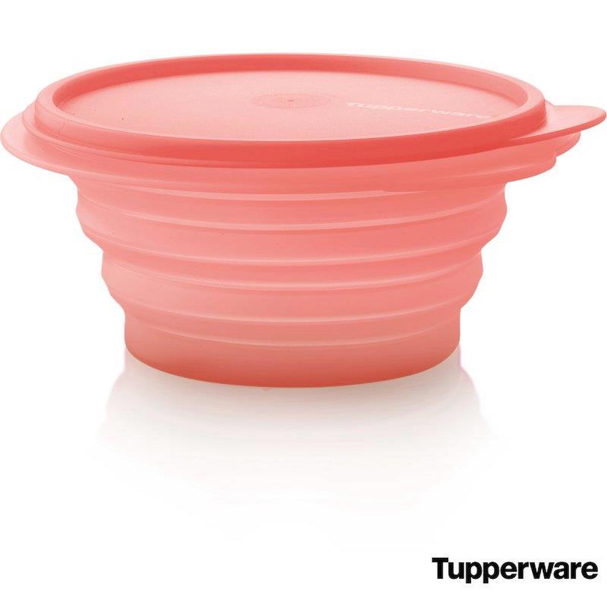 Tupperware 2 Parça Oval Plastik Saklama Kabı 700 ml