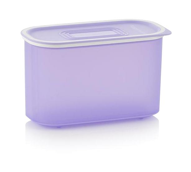 Tupperware 2 Parça Oval Plastik Saklama Kabı 800 ml