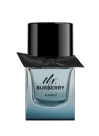 Burberry Mr. Burberry EDT Çiçeksi Erkek Parfüm 50 ml