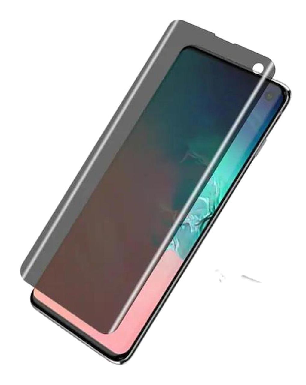Blue Case Samsung Galaxy Note 20 Ultra Hayalet Ekran Koruyucu