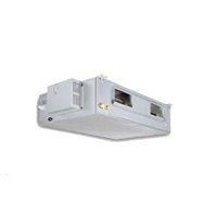 Viessmann DS1140T0 48000 Btu Klima