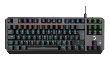 Gamepower Overlord RGB Blue Switch Kablolu Siyah Mekanik Gaming Klavye