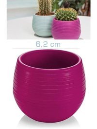 Homecare Plastik Yuvarlak Kaktüs Saksı Vişne
