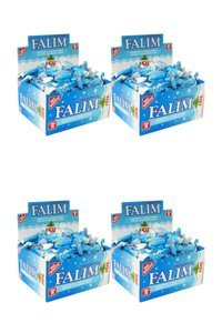 Falım Nane Aromalı Şekersiz Sakız 100'lü 4 Adet