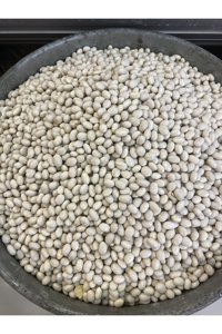 Çiftçioğlu Yerli Ispir Şeker Fasulyesi 500 gr