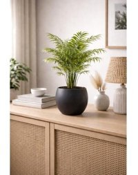 Alezy Küre Model Dekoratif Modern Saksı 7,5 Lt - Antrasit