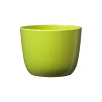 Soendgen Sevilla Saksı Yeşil 12 cm