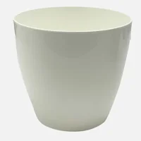 Üçsan Begonya Saksı Beyaz 1,5 lt