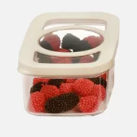 Moonstar Maximum Fresh Saklama Kabı 480 ml