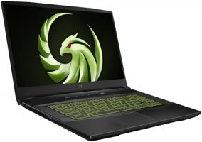 MSI Alpha 17 B5EEK 005XTR Harici AMD Radeon RX 6600M Ekran Kartlı AMD Ryzen 7 5800H 16 GB Ram DDR4 512 GB SSD 17.3 inç FHD FreeDOS Laptop