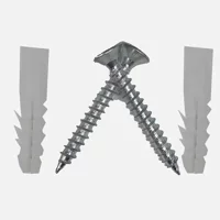 Adilon Dübel+Vida Seti 10mm 5 adet