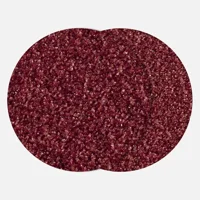 Wolfcraft Zımpara Diskleri 125 - Yapışan