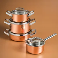 Karaca Power Steel 316+ 3Ply Galileo 8 Parça Çelik Tencere Seti