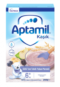 Aptamil Yaban Mersinli Laktozsuz Meyveli Kaşık Maması 250 gr