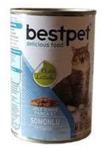 Bestpet Somonlu Soslu Yetişkin Yaş Kedi Maması 400 gr