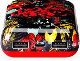 Ttec ArtPower 10000 mAh Hızlı Şarj USB & Type C Çoklu Kablolu Powerbank Kırmızı