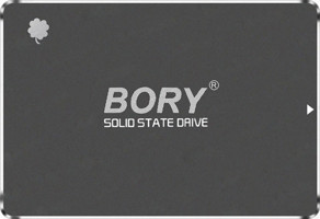 Bory01-C240 SATA 240 GB 2.5 inç SSD