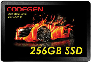Codegen CDG-256GB-SSD25 SATA 256 GB 2.5 inç SSD