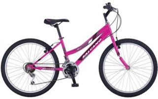 Salcano Excell 26 Jant 21 Vites Pembe Dağ Bisikleti