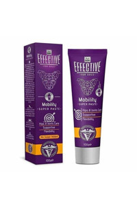 Delibon Effective Mobility C Vitaminli 100 gr 1 Adet Jel Köpek Vitamini