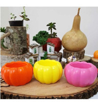 3d Kaktüs ve Succulentler Için El Yapımı 3 Adet Kabak Tasarım Saksı