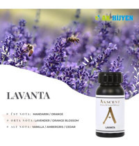 Akscent Lavanta Oda Kokusu 250 ml