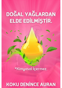 Auran Bebek Pudrası Oda Kokusu 430 ml