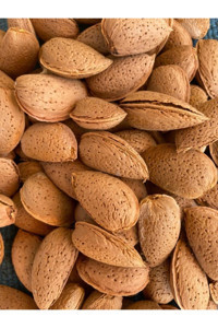 Fısstık Doğal Gıda Tane Çiğ Kabuklu Badem 5 kg