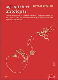 Aşk Şiirleri Antolojisi Haydar Ergülen Kırmızı Kedi
