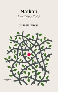 Naikan-Sen İçine Bak! Senai Demirci Hayykitap