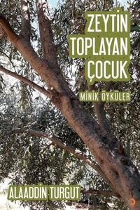 Zeytin Toplayan Çocuk Alaaddin Turgut Cinius