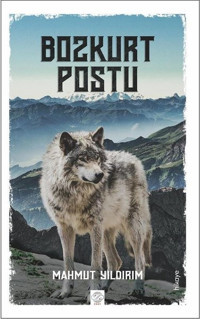 Bozkurt Postu Mahmut Yıldırım Post Yayın