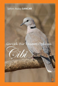 Gerçek Bir Yaşam Öyküsü Çibi Şehim Atalay Sancar Cinius