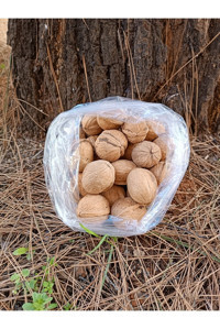 Gazisofraantep Organik Tane Kabuklu Ceviz 500 gr