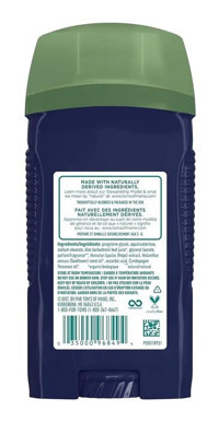 Tom's of Maine North Woods Stick Erkek Deodorant 79 gr