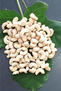 Antep Marketi Glutensiz Çiğ Kaju 500 gr