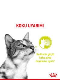 Royal Canin Sensory Smell Yetişkin Etli Soslu Yaş Kedi Maması 12x85 gr