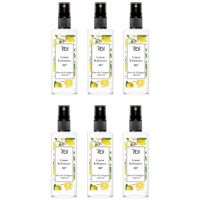 Rebul Limon Kolonya 6x100 ml