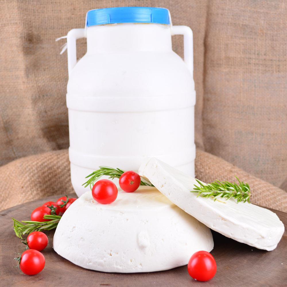 Gurmepark Erzincan Şavak Bidon Koyun Tulum Peyniri 500 gr