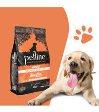 Petline Sensitive Somonlu Tüm Irklar Yetişkin Köpek Maması 12 Kg