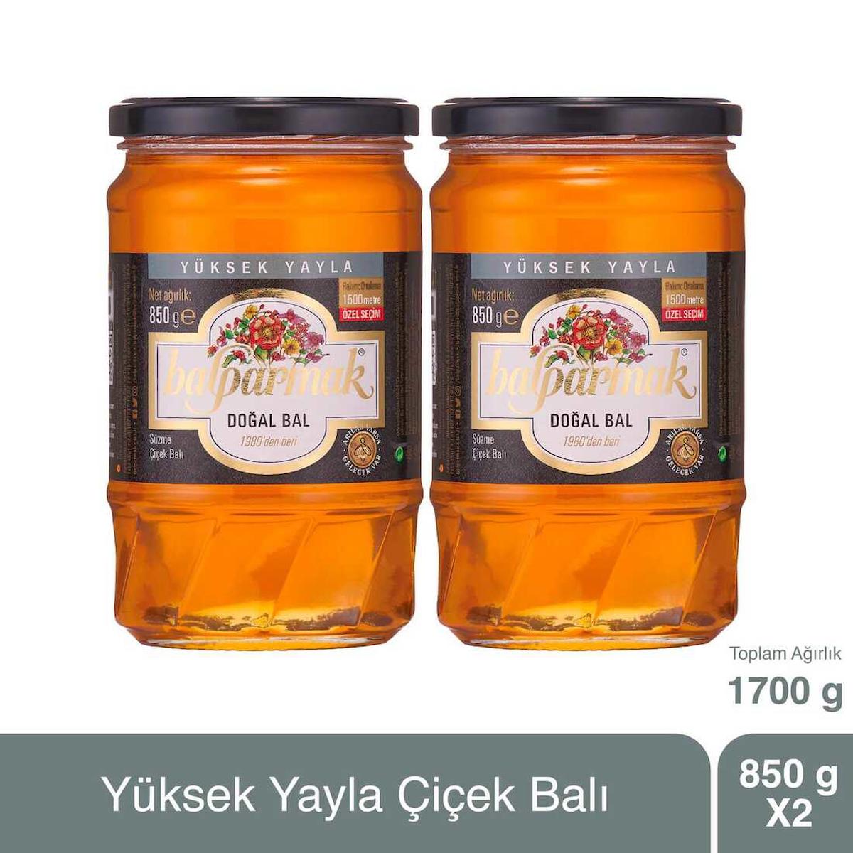Atatürk Orman Çiftliği Ankara Organik Süzme Çiçek Balı 2x850 gr