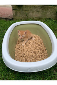 Biocal Kalın Taneli Pelet Kedi Kumu 15 kg