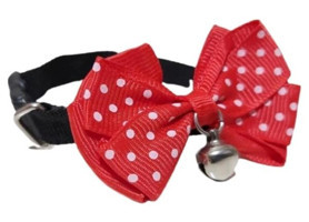 Petitoys Kırmızı Gezdirme Boyun Kedi Tasması