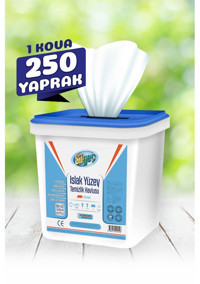 Silgeç 250 Yaprak Islak Mendil