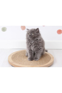 Femusa 36 cm Kedi Tımalama Tahtası