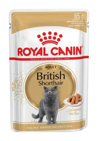 Royal Canin British Shorthair Yetişkin Yaş Kedi Maması 24x85 gr