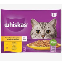 Whiskas Hindi Eti Jöleli Yetişkin Yaş Kedi Maması 52x85 gr