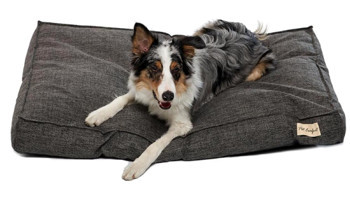 Pet Comfort Lima Yıkanabilir Tek Fonksiyonlu 90x60 cm Minder Kedi Yatağı Gri